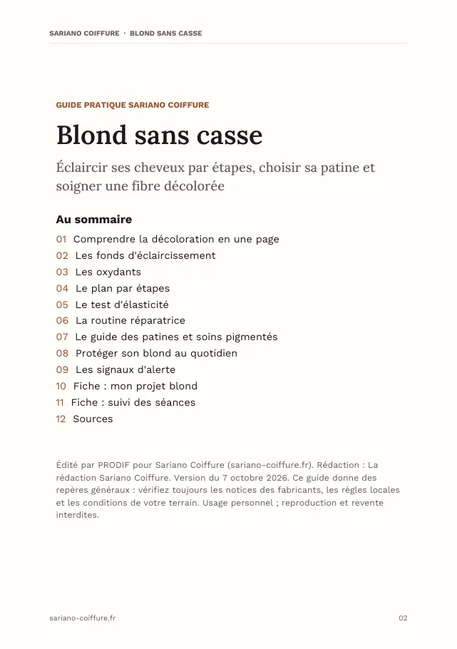 Aperçu de la page 2 de l'ebook Blond sans casse