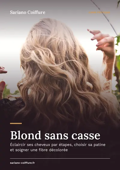 Couverture de l'ebook Blond sans casse