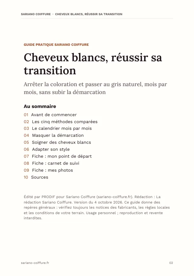 Aperçu de la page 2 de l'ebook Cheveux blancs, réussir sa transition