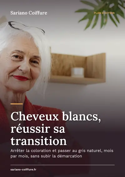 Couverture de l'ebook Cheveux blancs, réussir sa transition